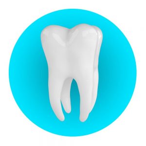 An illustration of a healthy, intact tooth unaffected by a cavity